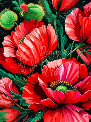 Broderie Diamant Coquelicots Géants