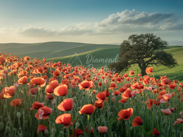 Broderie Diamant Coquelicots au Crépuscule