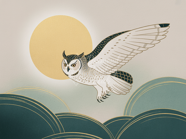 Broderie Diamant Chouette et Automne Doré