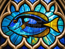 Broderie Diamant Poisson Chirurgien Vitrail