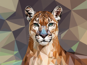 Broderie Diamant Puma Géométrique