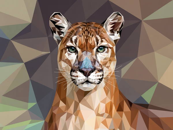 Broderie Diamant Puma Géométrique