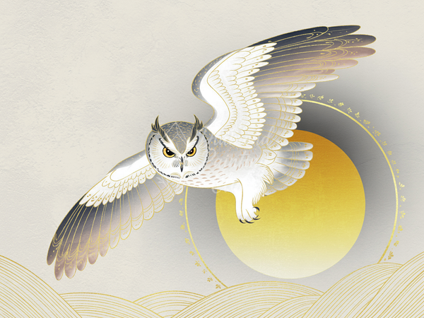 Broderie Diamant Chouette et Soleil Levant