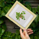 Mini Diamond Painting - Plantes en Pot (4 pièces)