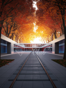 Broderie Diamant Rails d'Automne Moderne