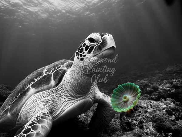 Broderie Diamant Tortue Anémone Contrastée