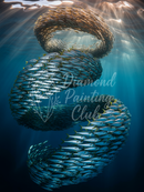 Broderie Diamant Spirale Aquatique