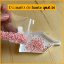 Broderie Diamant Panda Devant la Porte