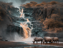 Broderie Diamant Rhinocéros à la Source