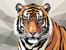 Broderie Diamant Tigre Géométrique