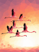 Broderie Diamant Flamants Géométriques