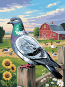 Broderie Diamant Pigeon à la Ferme