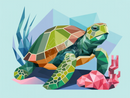 Broderie Diamant Tortue Géométrique