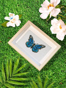Mini Diamond Painting - Émerveillement Papillons (12pcs)