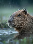 Broderie Diamant Capybara sous la Pluie