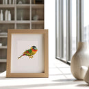 Mini Diamond Painting - Oiseaux Exotiques et Colorés (12 pièces)