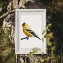 Mini Diamond Painting - Oiseaux Exotiques et Colorés (12 pièces)