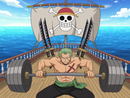 Broderie Diamant Zoro à l'Entraînement