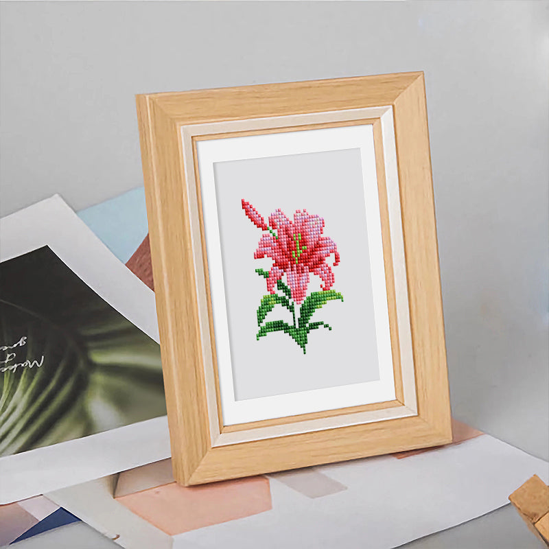 Mini Diamond Painting - Éclat Floral Varié (12 pièces)