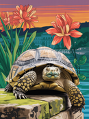 Broderie Diamant Tortue Jardin Classique