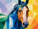 Broderie Diamant Cheval Géométrique