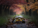 Broderie Diamant Tortue dans la Forêt d'Automne