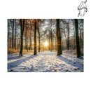 Broderie diamant forêt en hiver au levé du soleil | diamond-painting-club.com