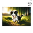 Broderie diamant Chiot Border Collie | Diamond-painting-club.com