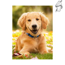 Broderie diamant Chiot Labrador | Diamond-painting-club.com