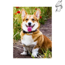 Broderie diamant Corgi | Diamond-painting-club.com
