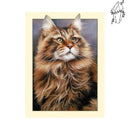 Broderie diamant Maine coon | Diamond-painting-club.com