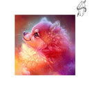 Broderie diamant Spitz éblouissant | Diamond-painting-club.com