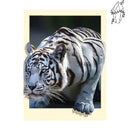 Broderie diamant Tigre Blanc | Diamond-painting-club.com