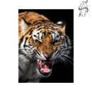 Broderie diamant Fureur du tigre | Diamond-painting-club.com