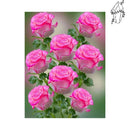 Broderie diamant Roses écarlates | Diamond-painting-club.com