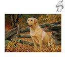 Broderie diamant Labrador & Automne | Diamond-painting-club.com