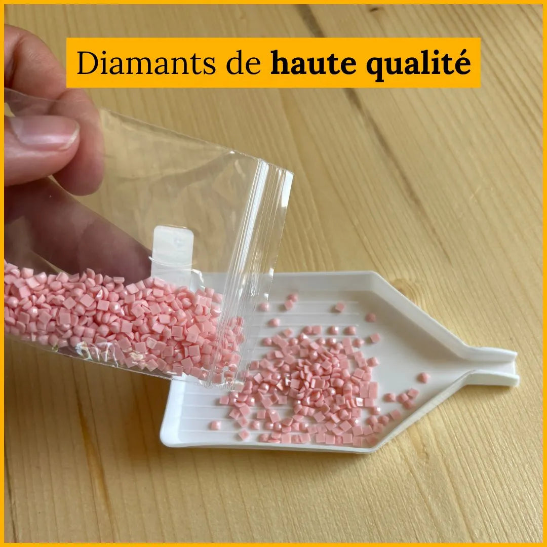 Kit Diamond Painting Personnalisé