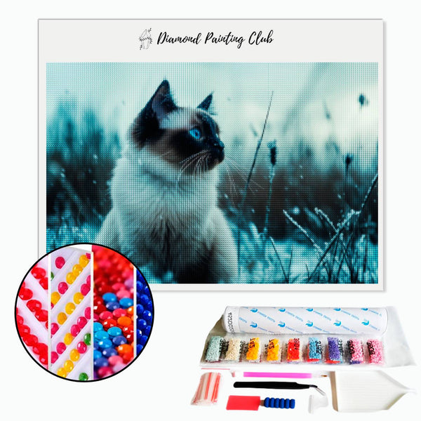 Broderie diamant Chat siamois en Hiver | Diamond-painting-club.com