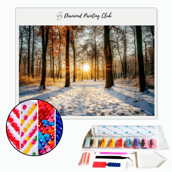 Broderie diamant forêt en hiver au levé du soleil | diamond-painting-club.com