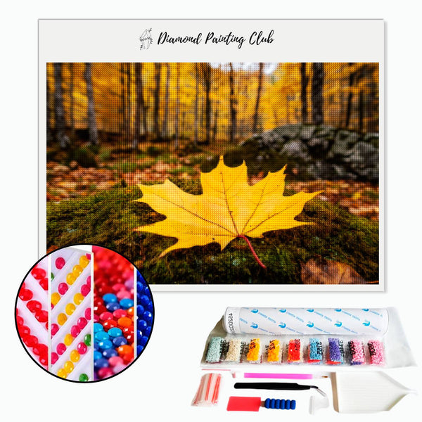 Broderie diamant Feuille dans une forêt d'automne | diamond-painting-club.com