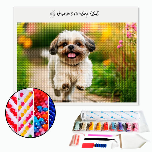 Broderie diamant Promenade d'un Shih tzu | Diamond-painting-club.com