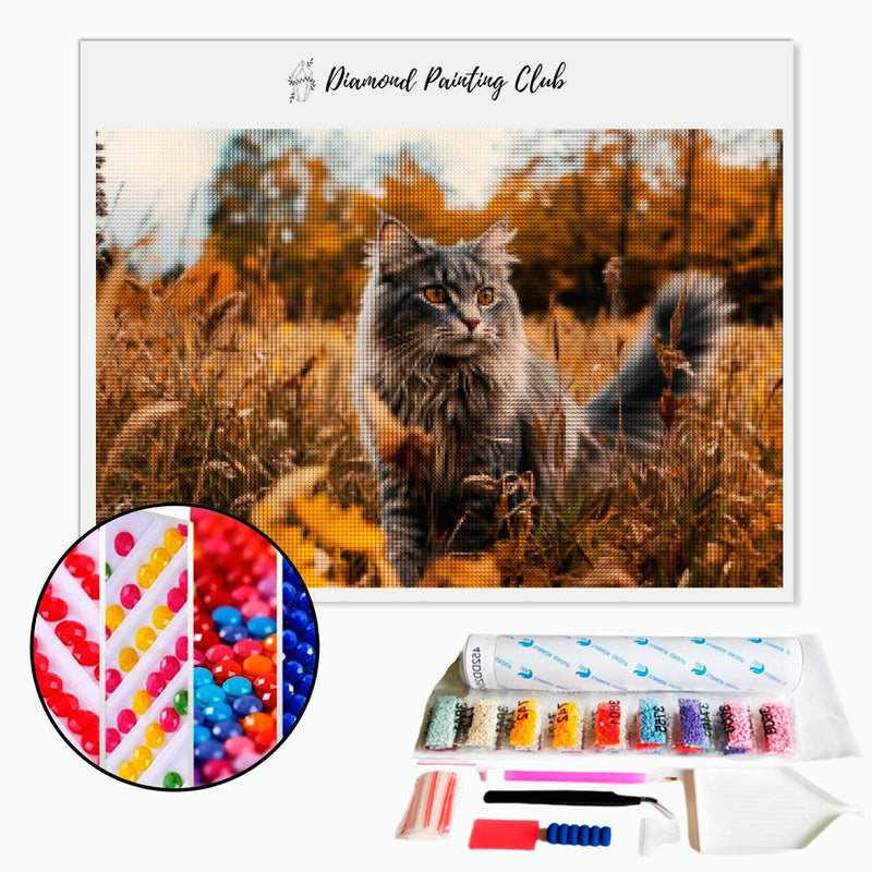 Broderie diamant Maine coon en balade | Diamond-painting-club.com