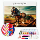 Broderie diamant Cheval de traie | Diamond-painting-club.com