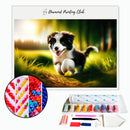 Broderie diamant Chiot Border Collie | Diamond-painting-club.com