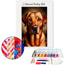 Broderie diamant Labrador Caramel | Diamond-painting-club.com