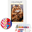 Broderie diamant Maine coon | Diamond-painting-club.com