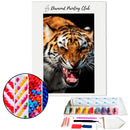 Broderie diamant Fureur du tigre | Diamond-painting-club.com