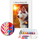 Broderie diamant Husky Soleil couchant | Diamond-painting-club.com