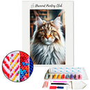 Broderie diamant Visage de Maine Coon | Diamond-painting-club.com