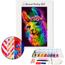 Broderie diamant Lama multicolore | Diamond-painting-club.com